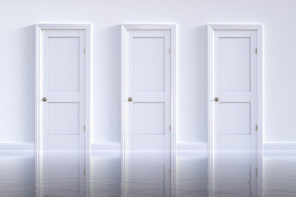 doors, choice, decision-6882667.jpg