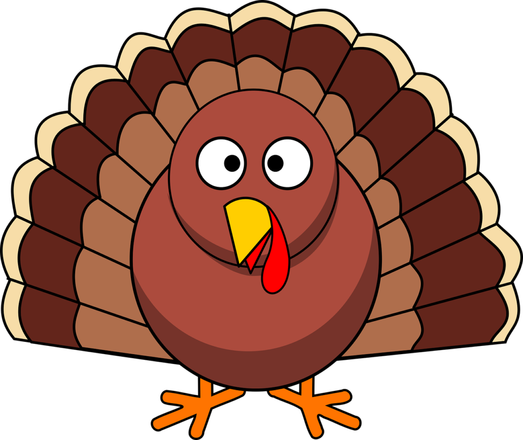 turkey, thanksgiving, nature-1299176.jpg